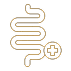 Gut Microbiome